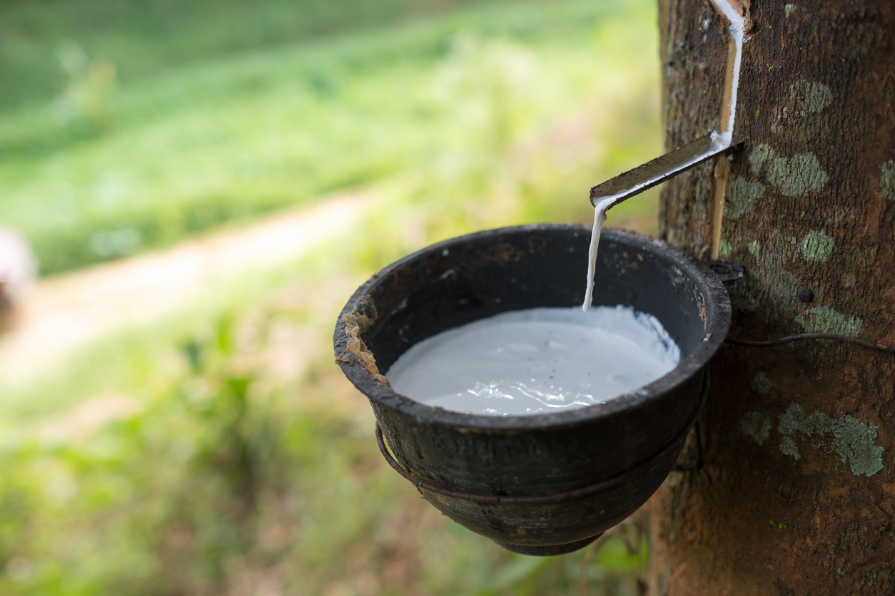 Process-secure industrial dosing of natural rubber